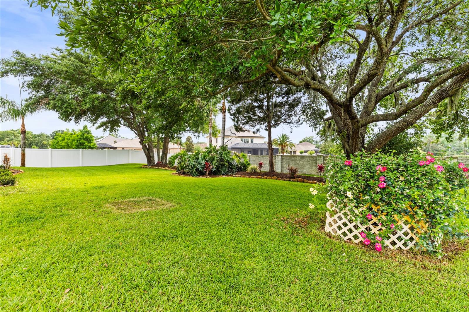 Spacious back yard with mature landscaping