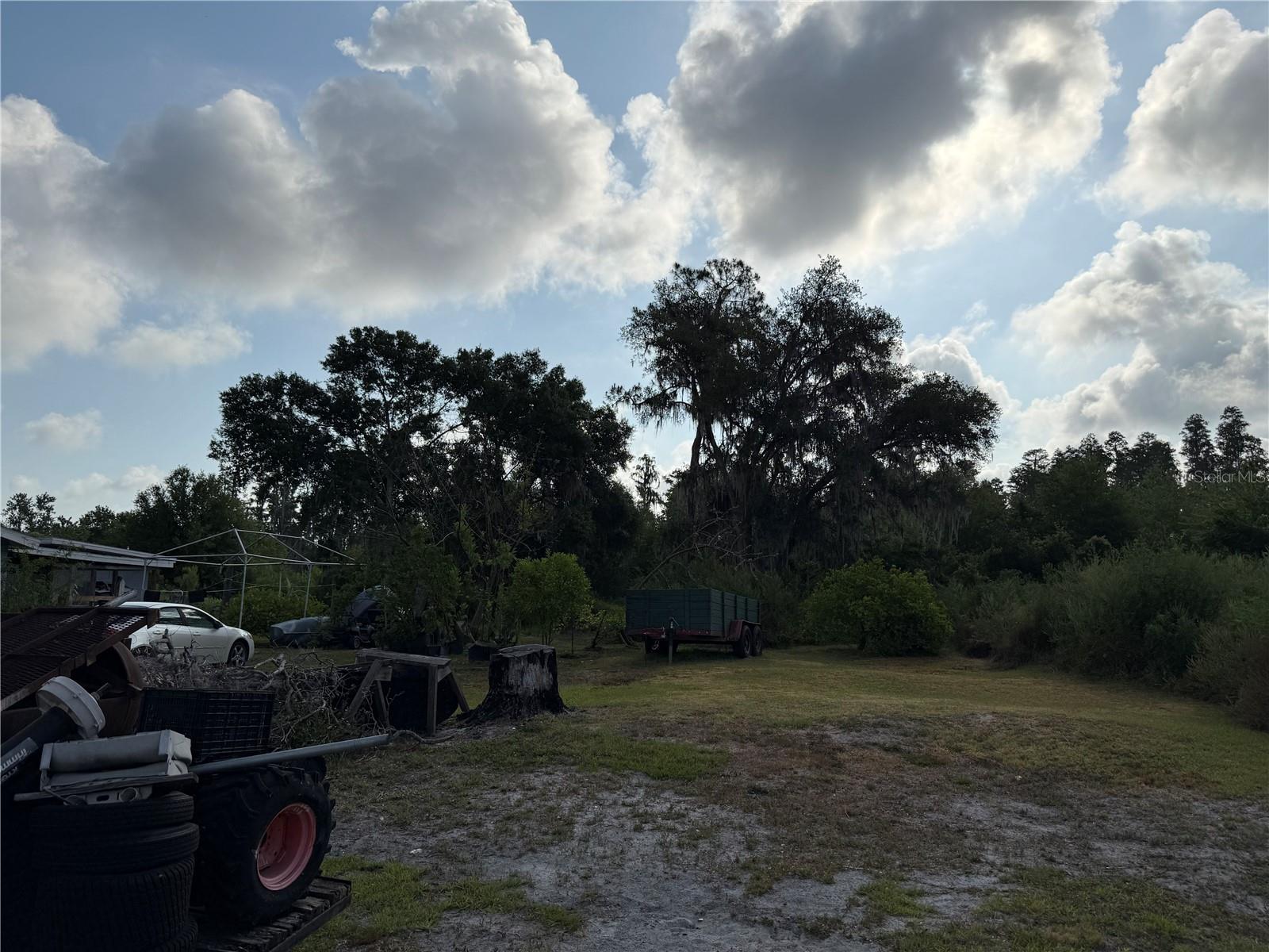 Yard