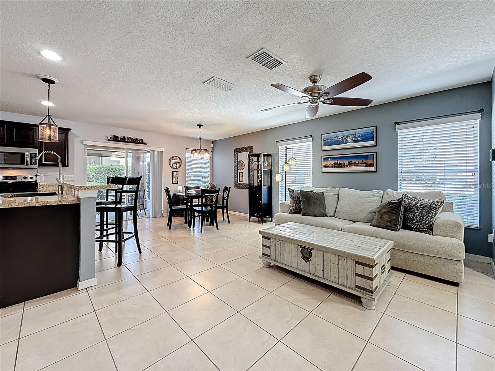 Living Room - Dining Room - Kitchen