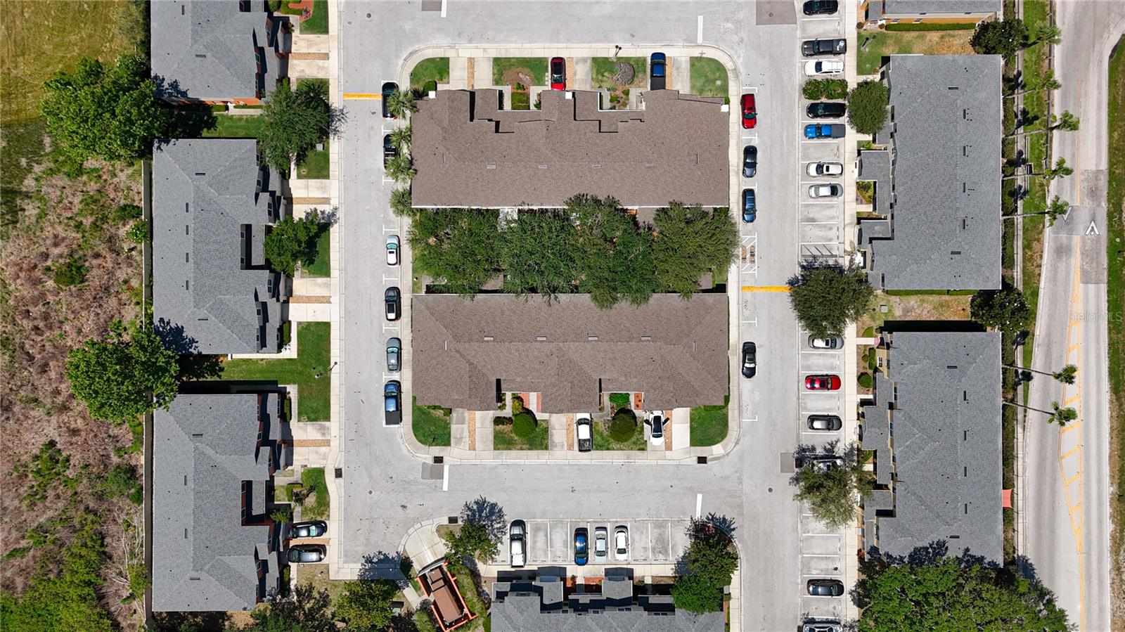 Bird's Eye