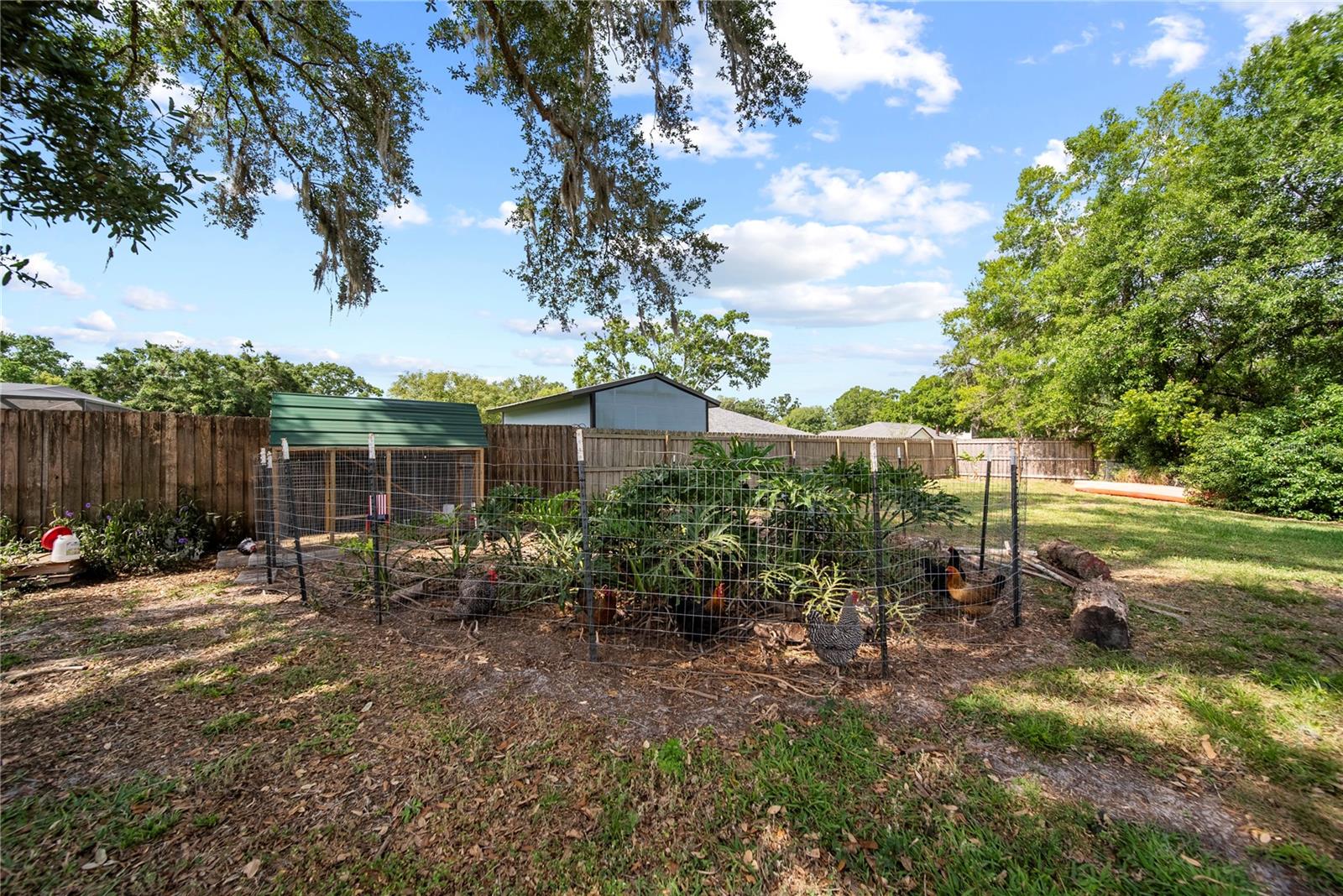 Chicken coop