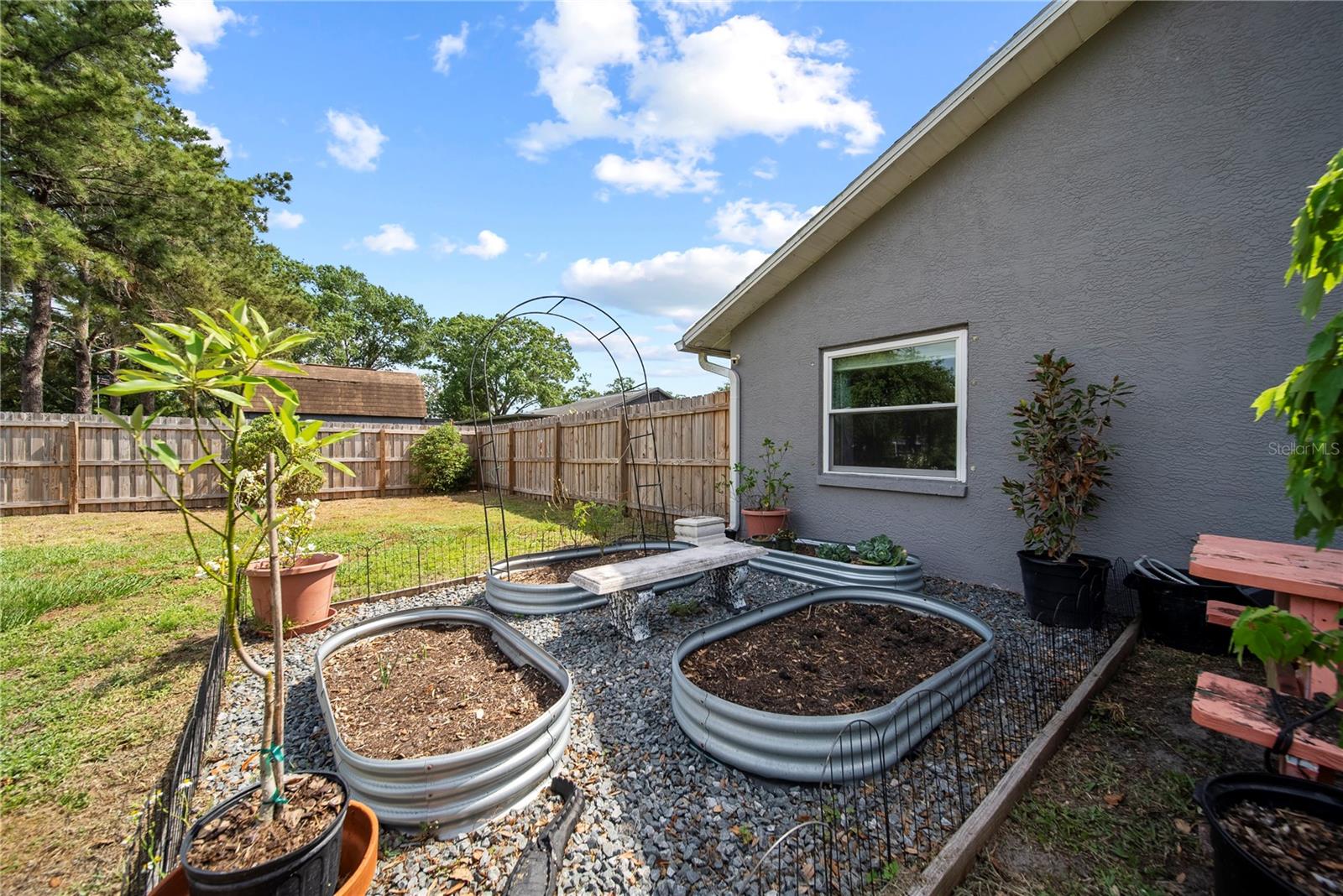 Raised planters in back yard