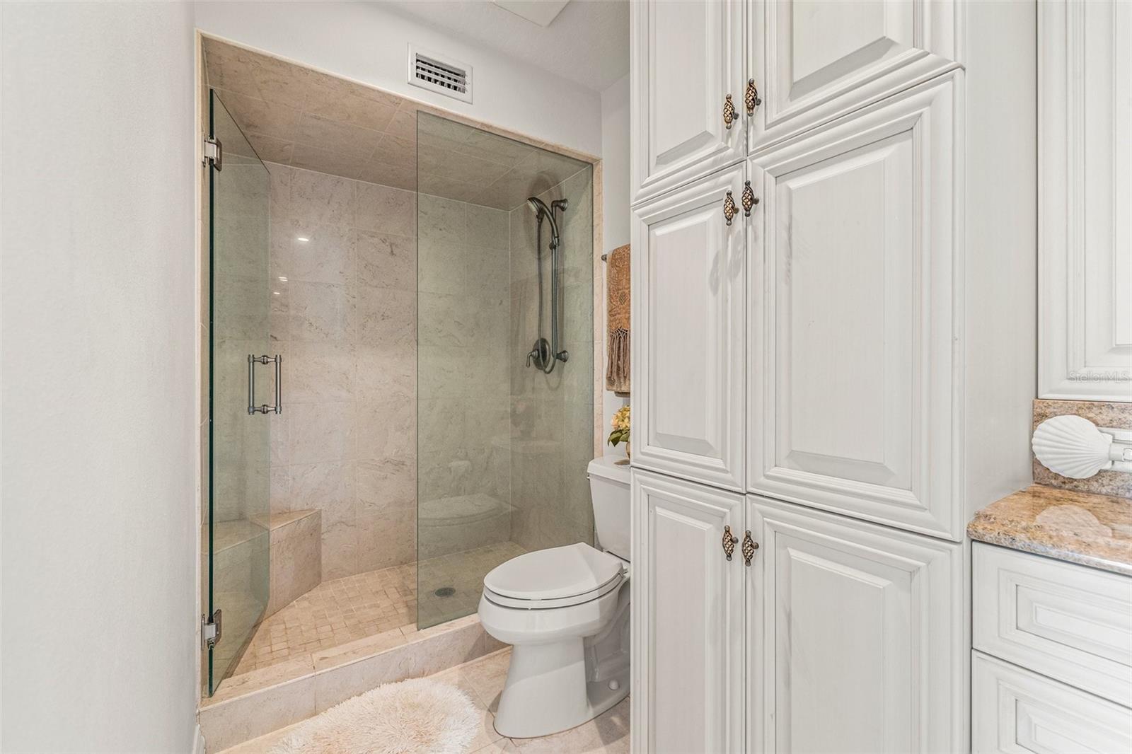 Primary bathroom shower
