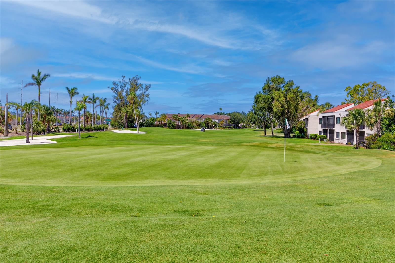 Golfing Anyone? Play or just watch!