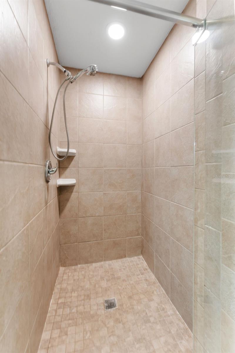 Primary Bathroom Shower