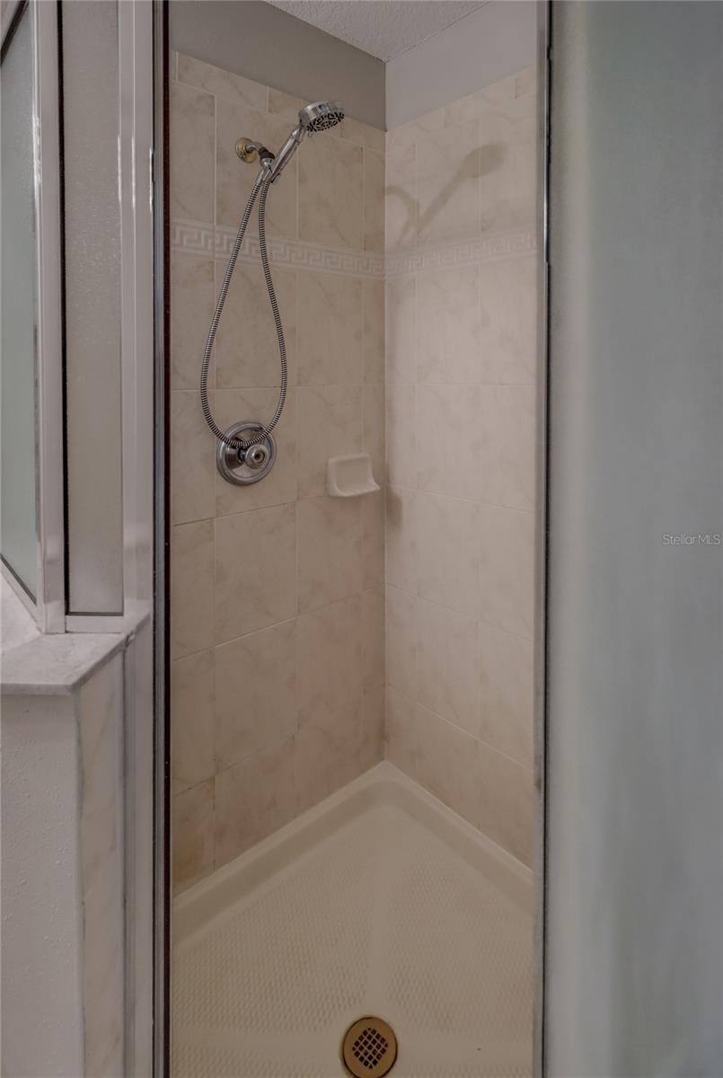 Master shower