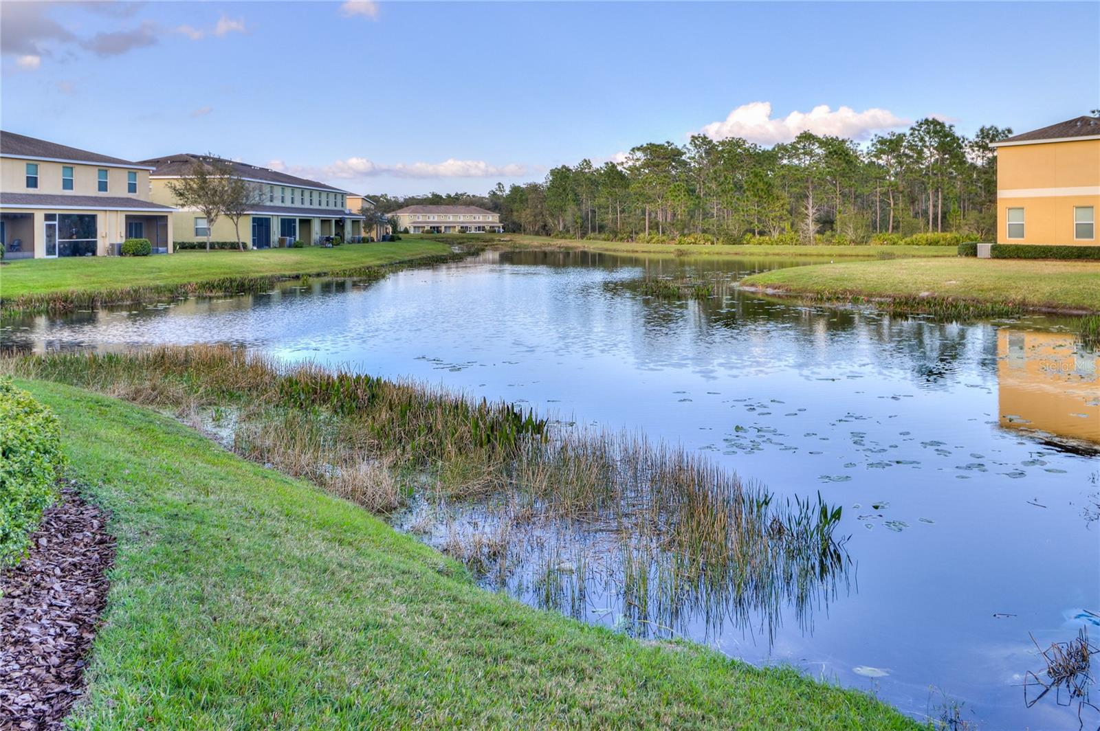 community clubhouse view