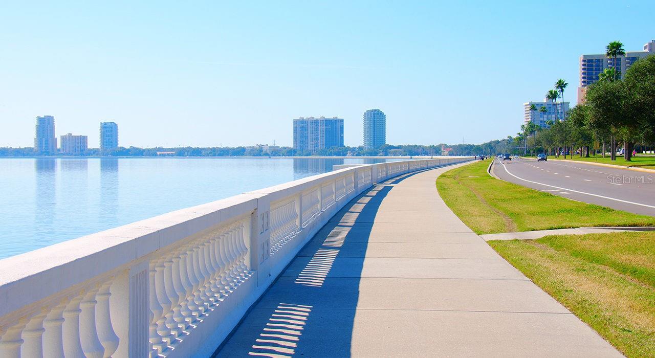 Just blocks From Bayshore Boulevard