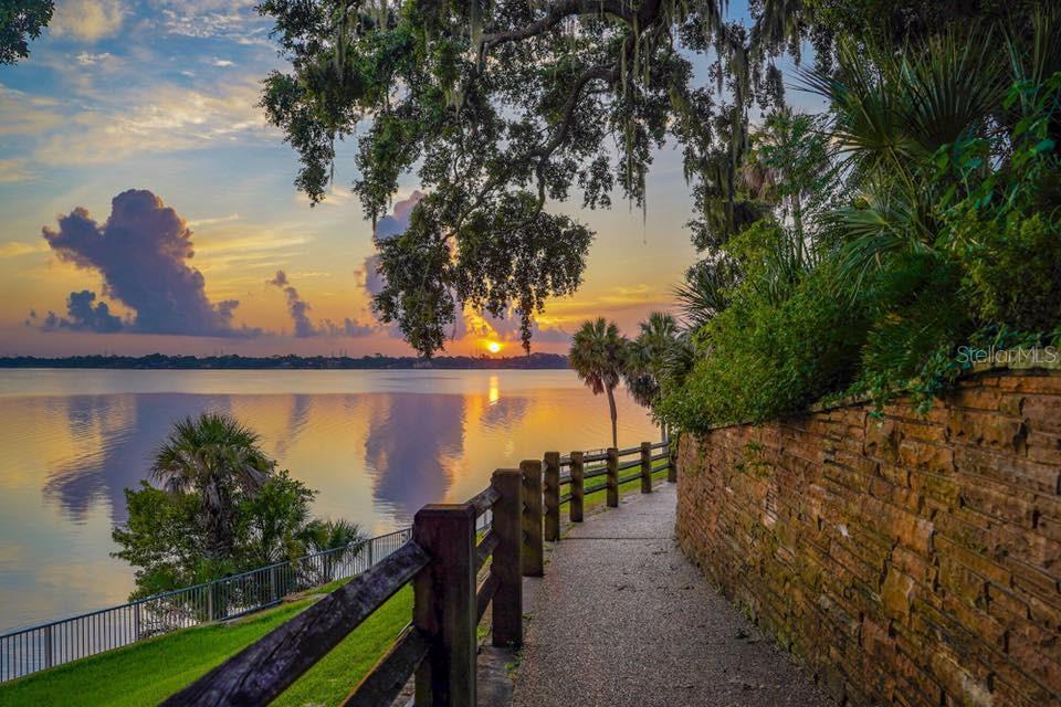 Phillipe Park