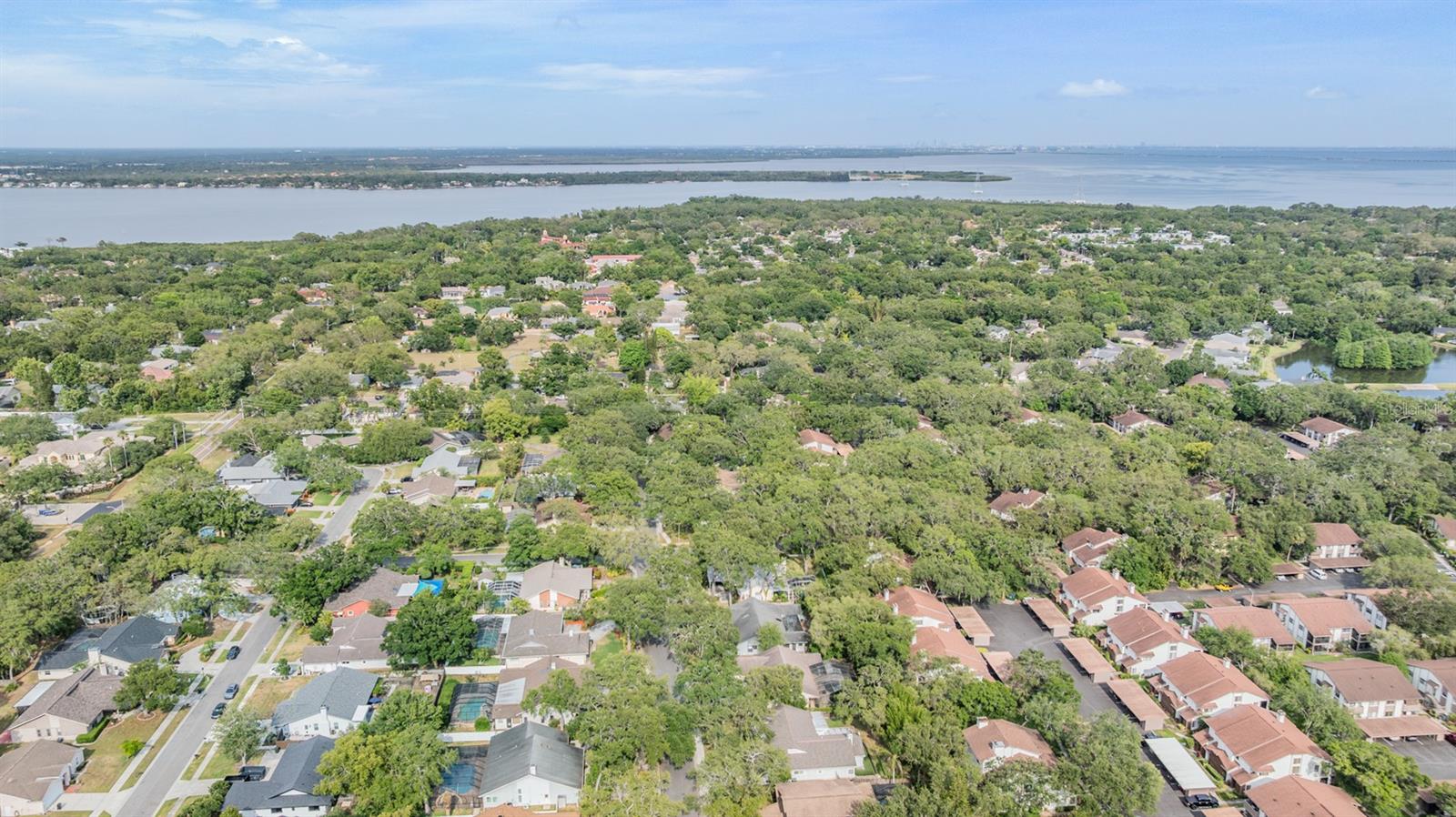 Safety Harbor area...Tampa Bay