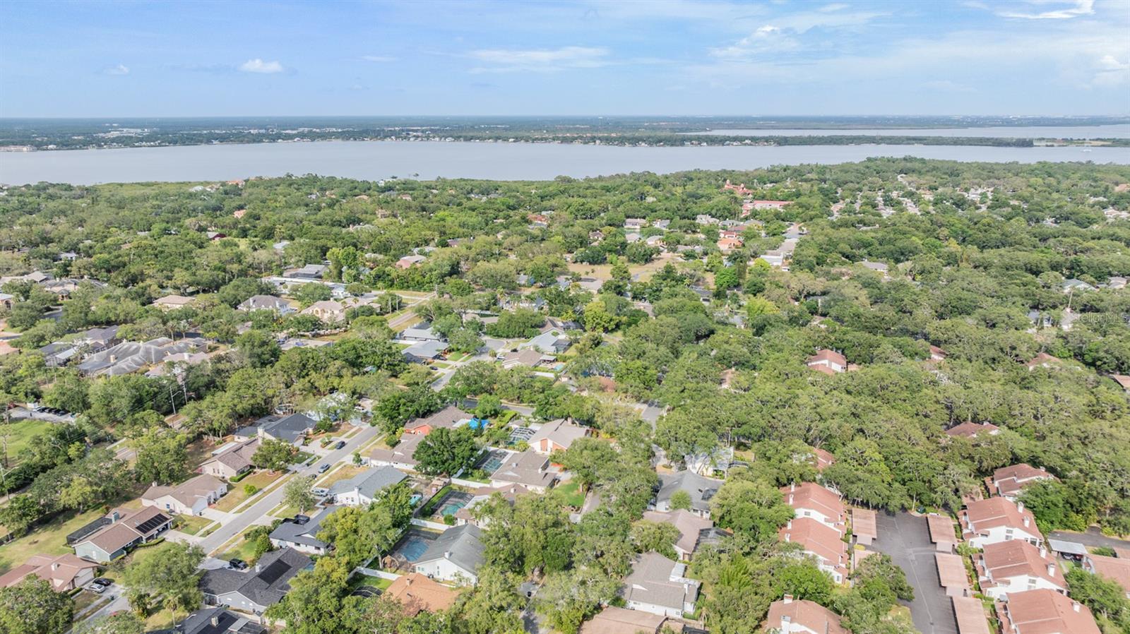 Safety Harbor area...Tampa Bay