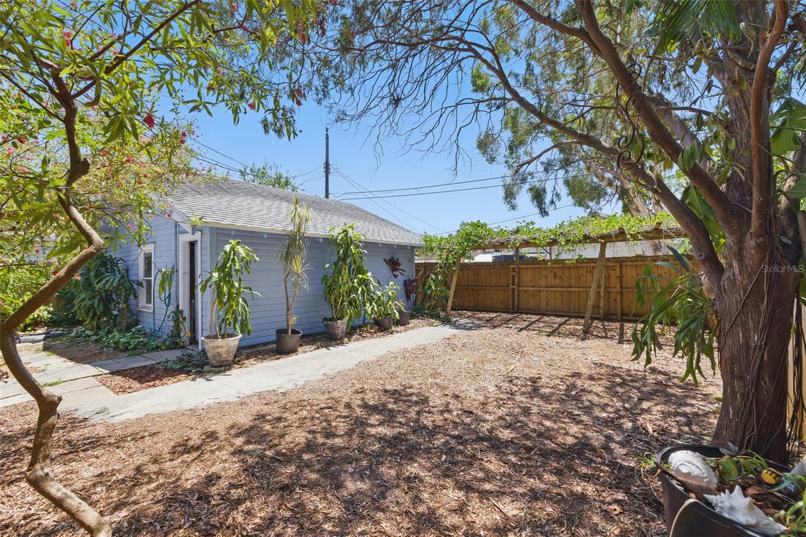 Backyard