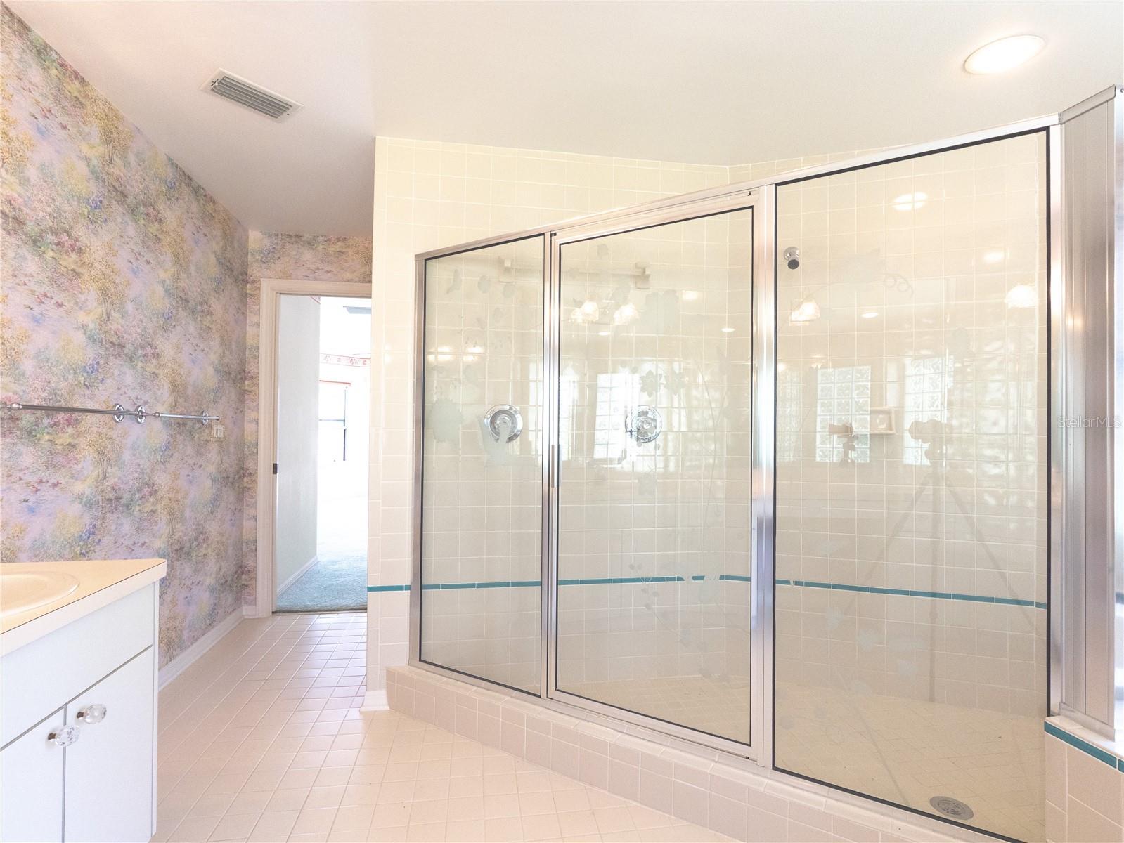 Primary bathroom with shower