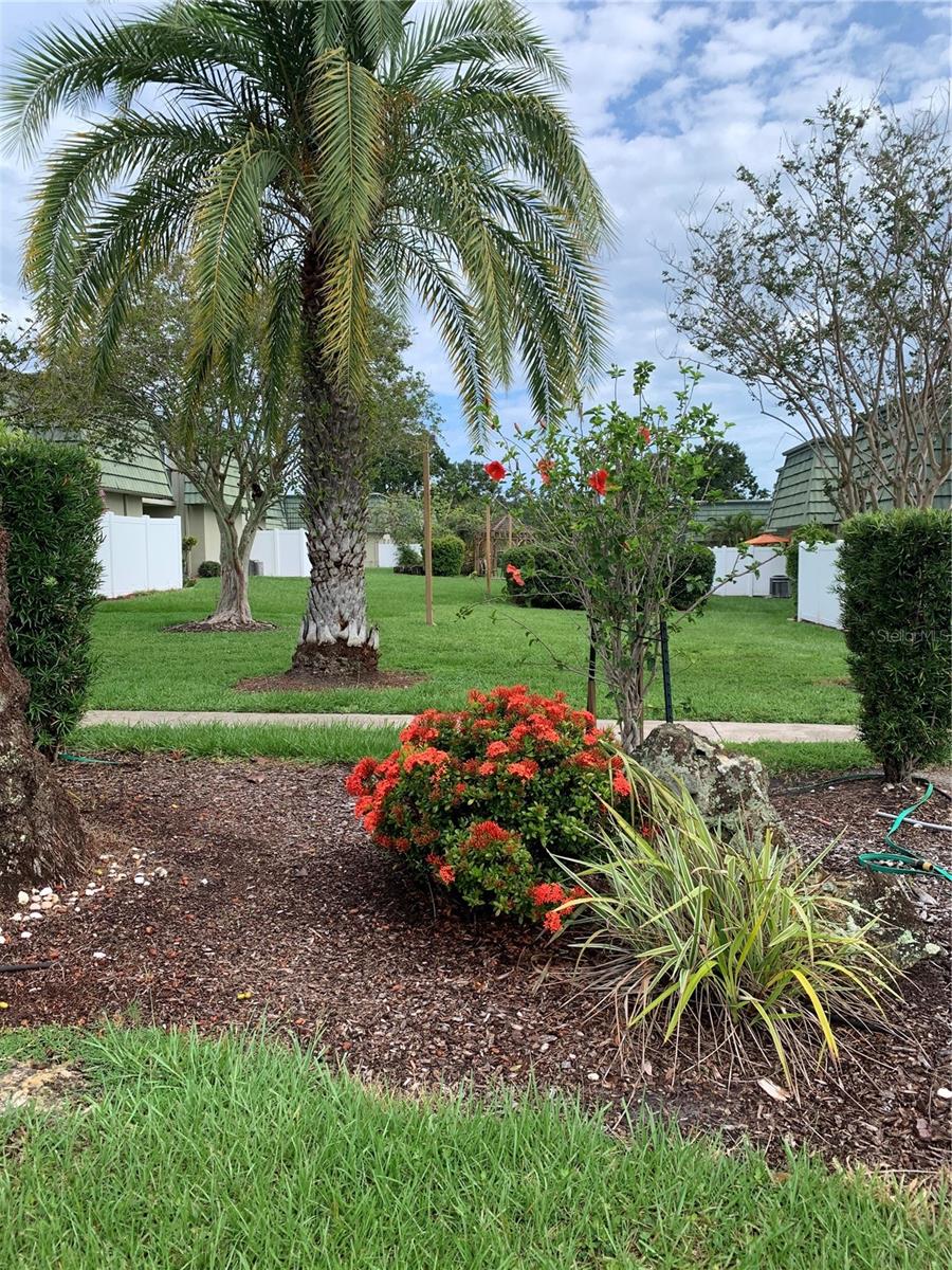 Grounds view