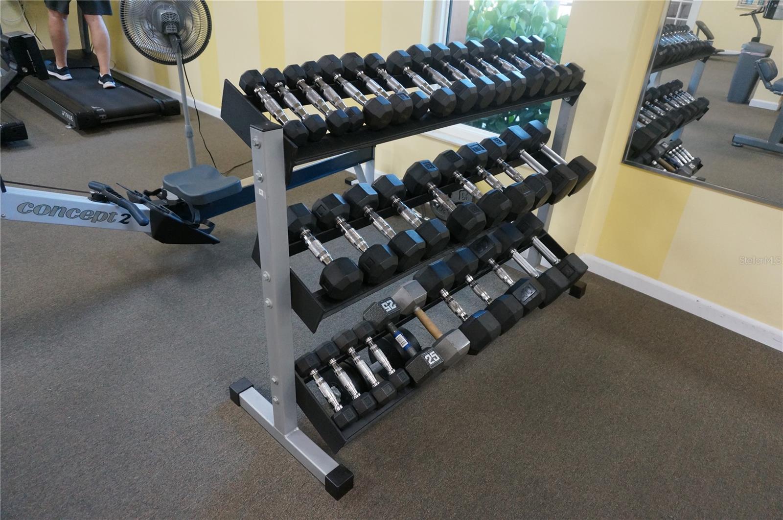 Free Weights Rack