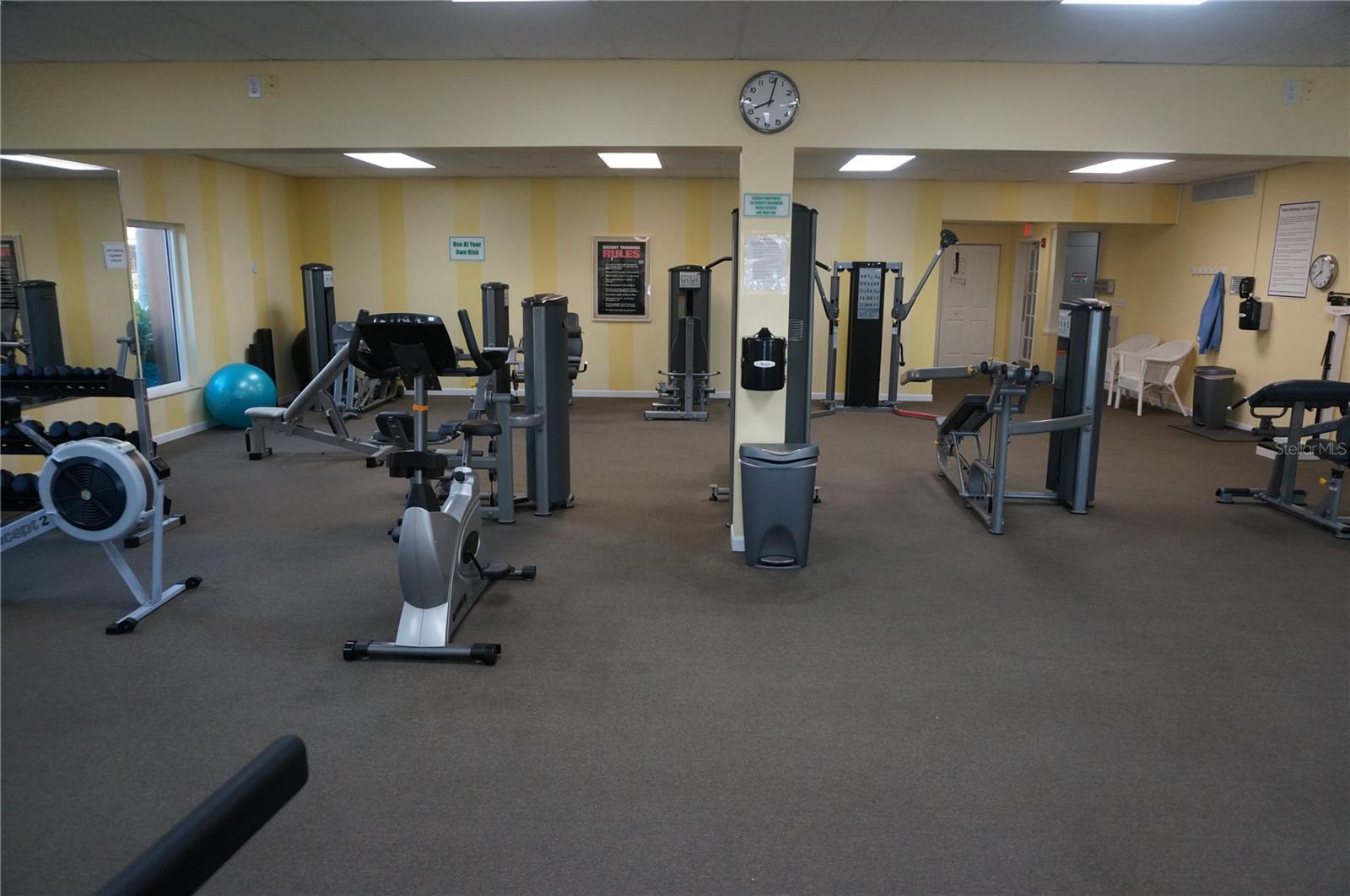 All New Equipment at Fitness Center (2024)