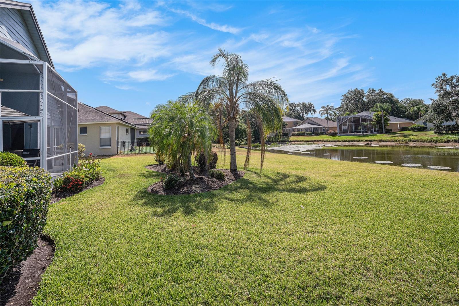 Backyard with Pond View