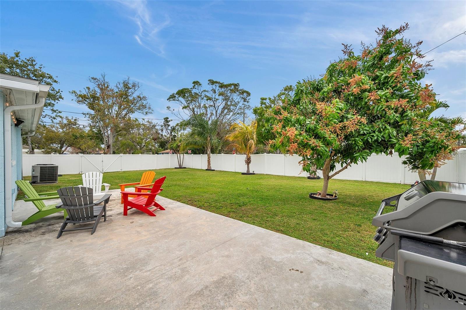 Fully fenced backyard with mature annual producing mango tree