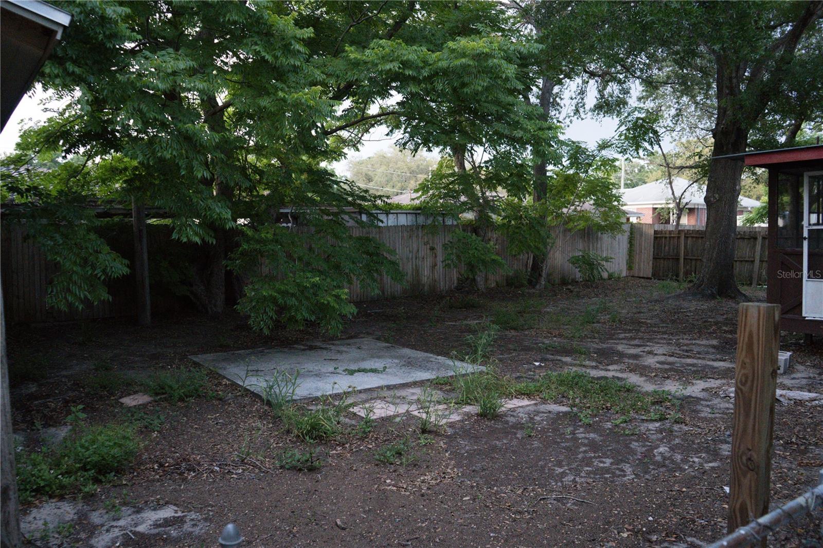 Backyard