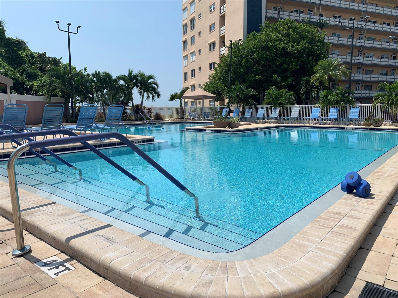Come have a refreshing dip!