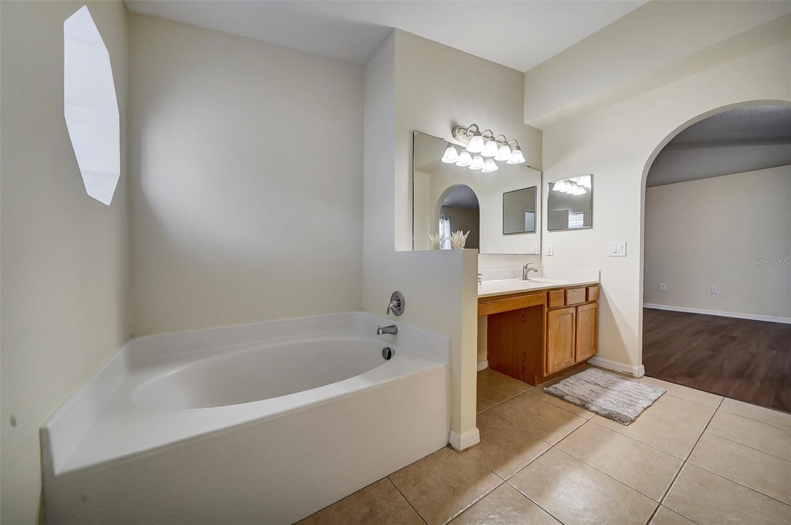 Primary Owner bathroom