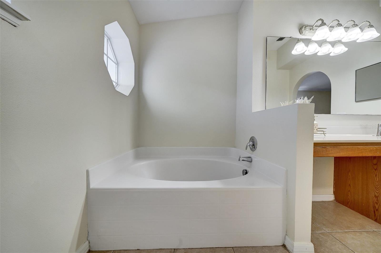 Primary owner bathroom
