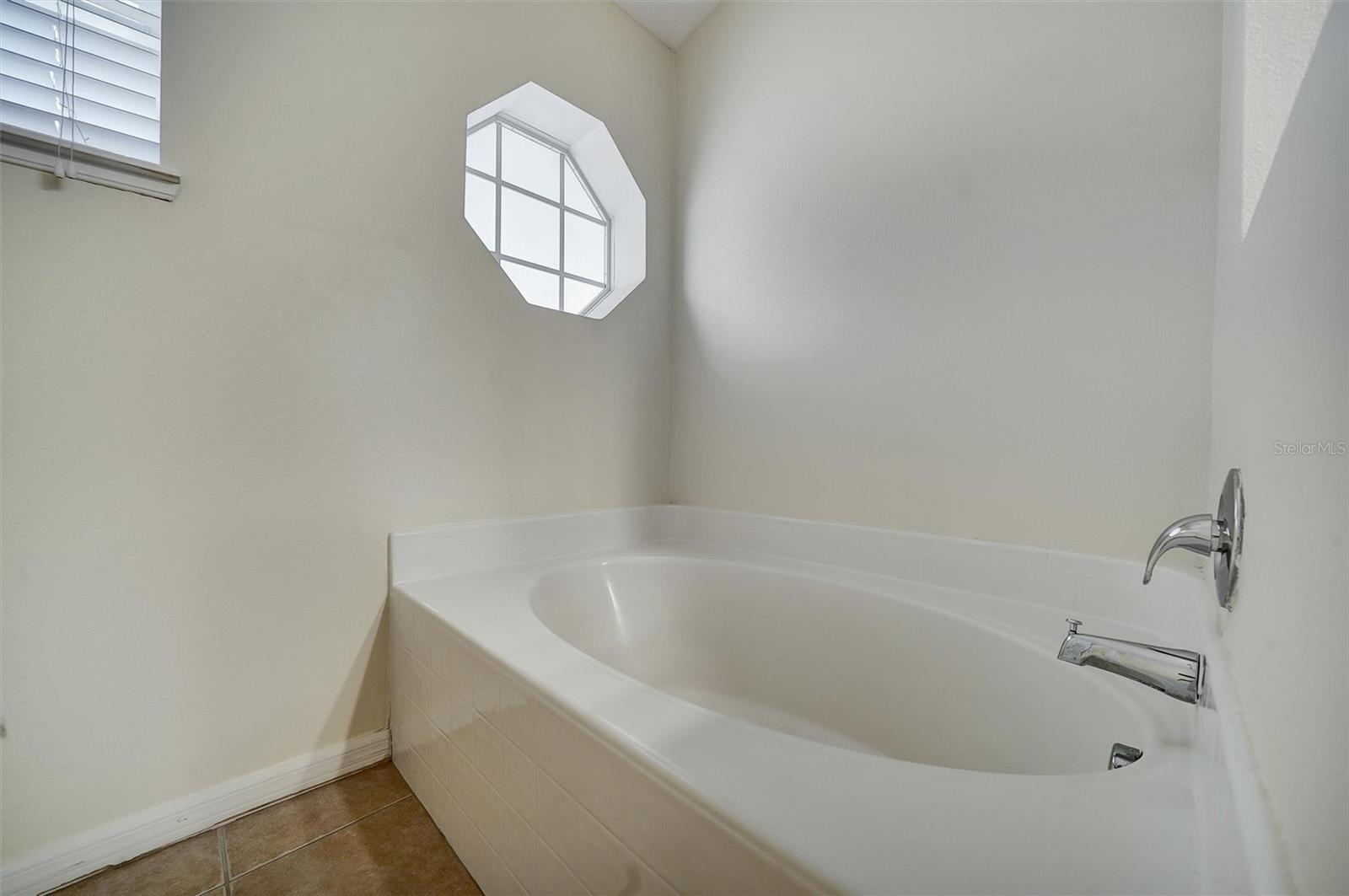 Primary owner bathroom