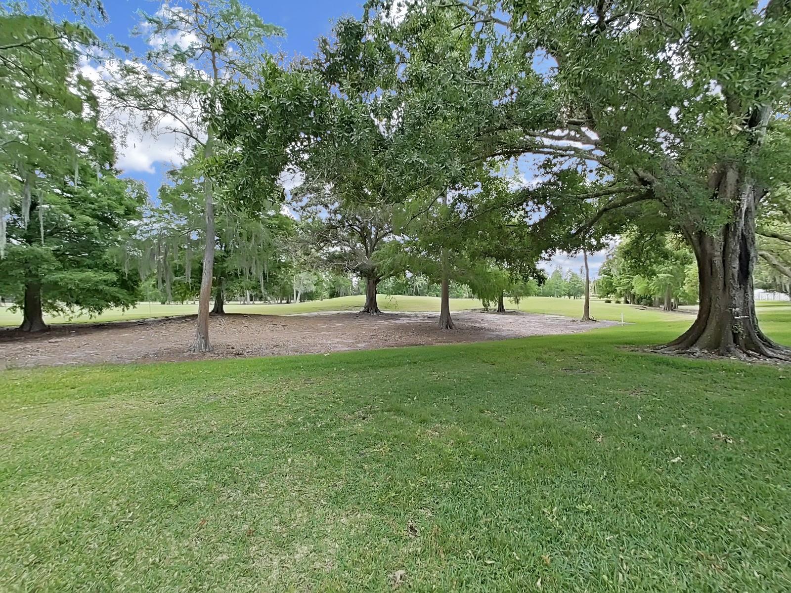 Rear view of golfcourse