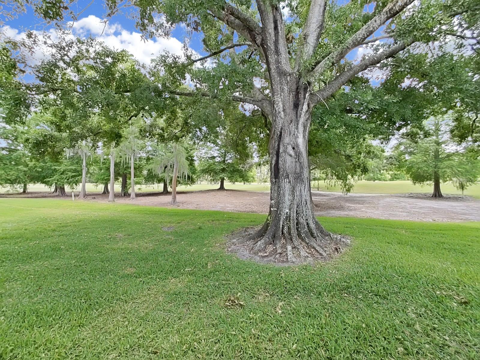 Rear view of golfcourse