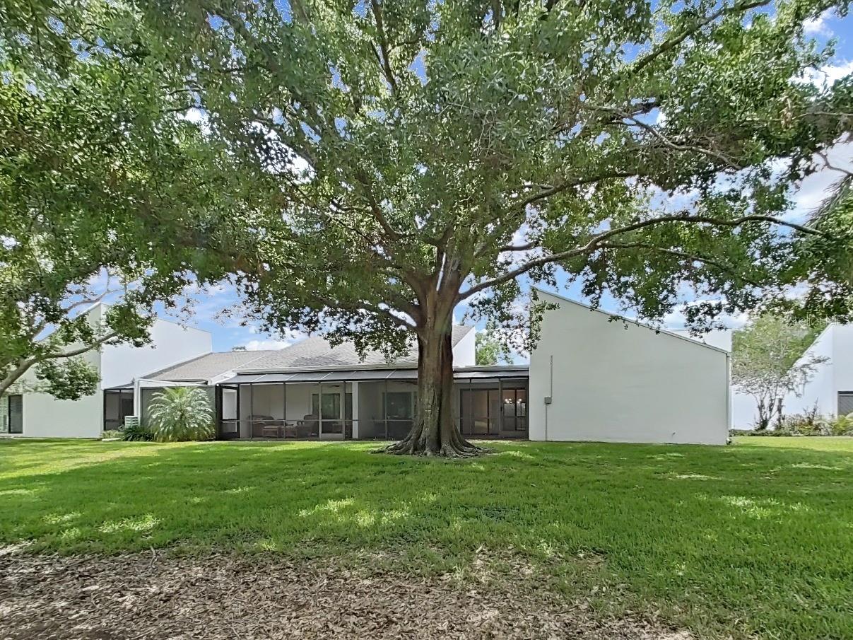 Rear view of home