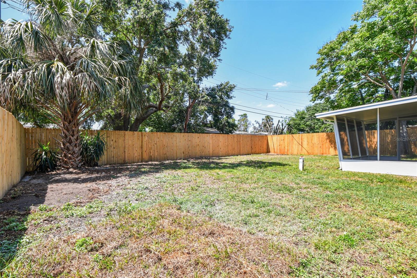 back yard
