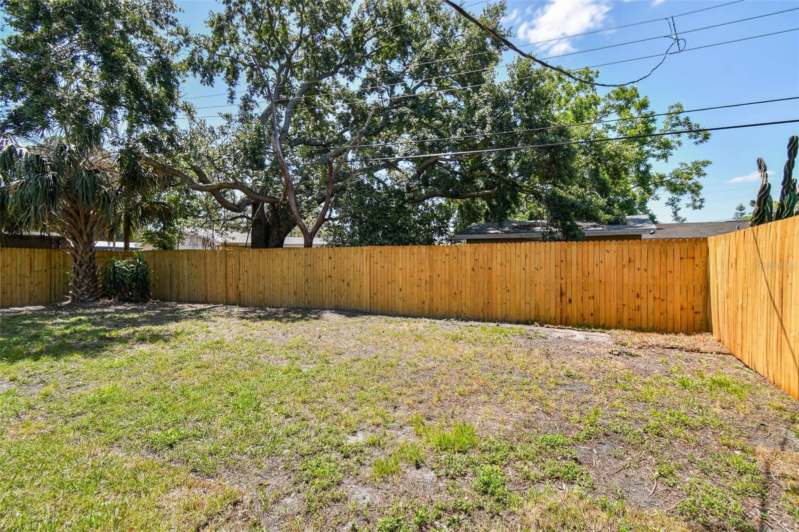 back yard