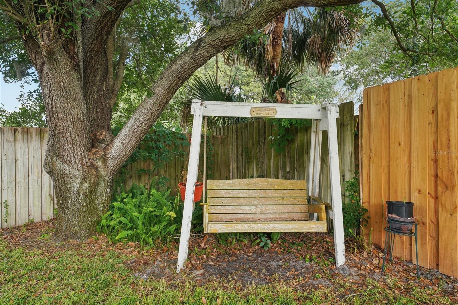 Backyard