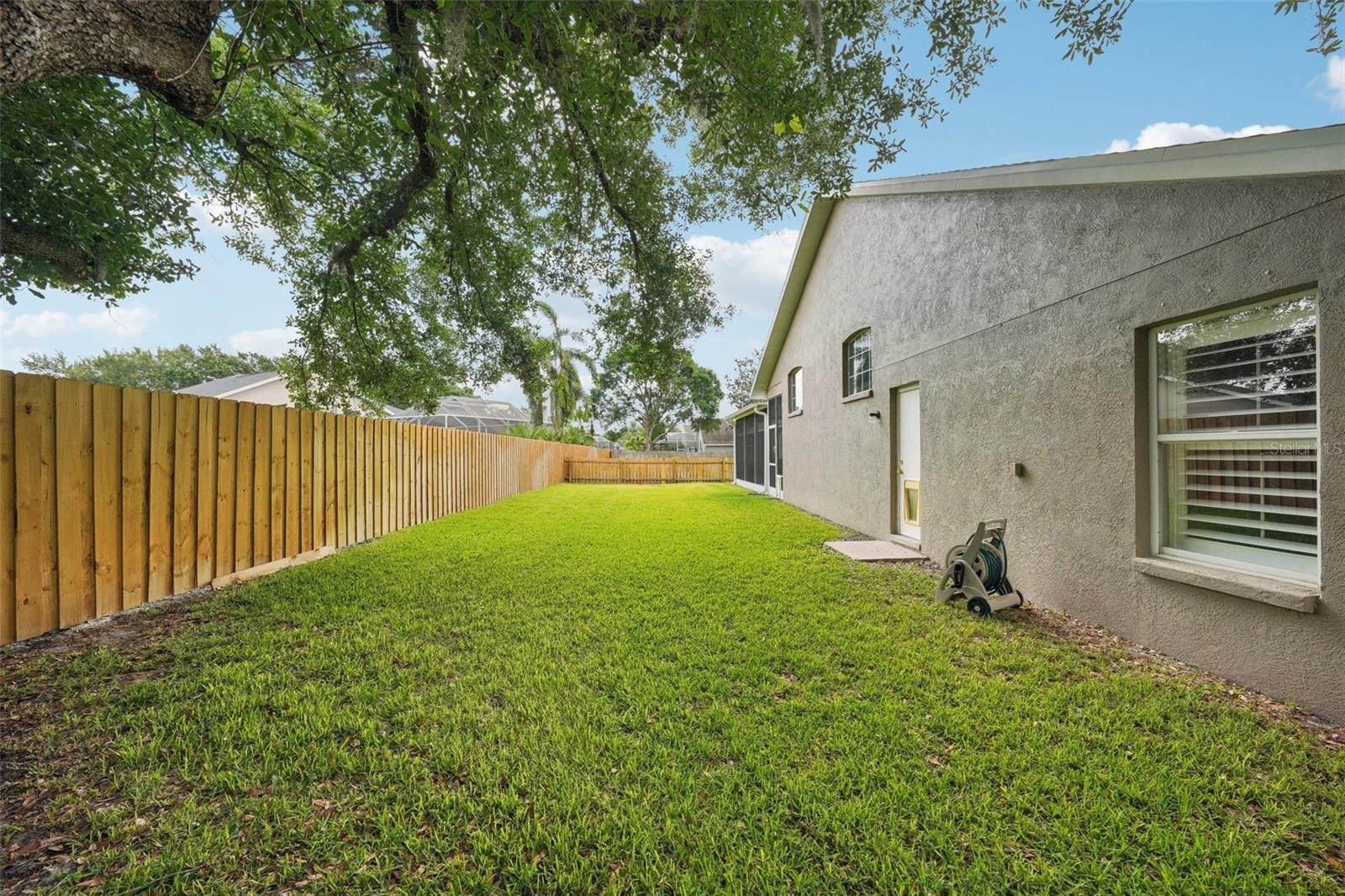 Backyard