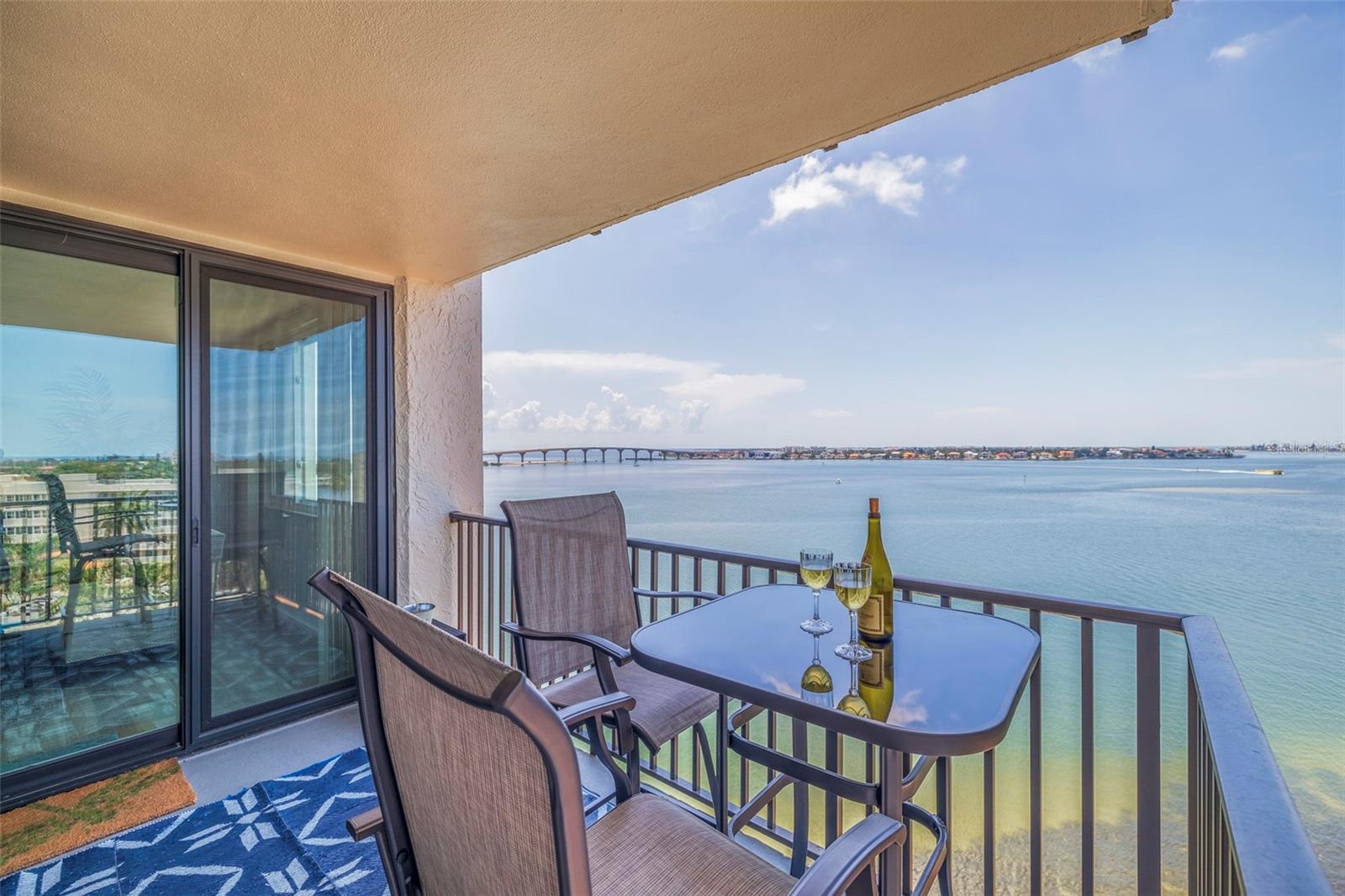 Rear Patio