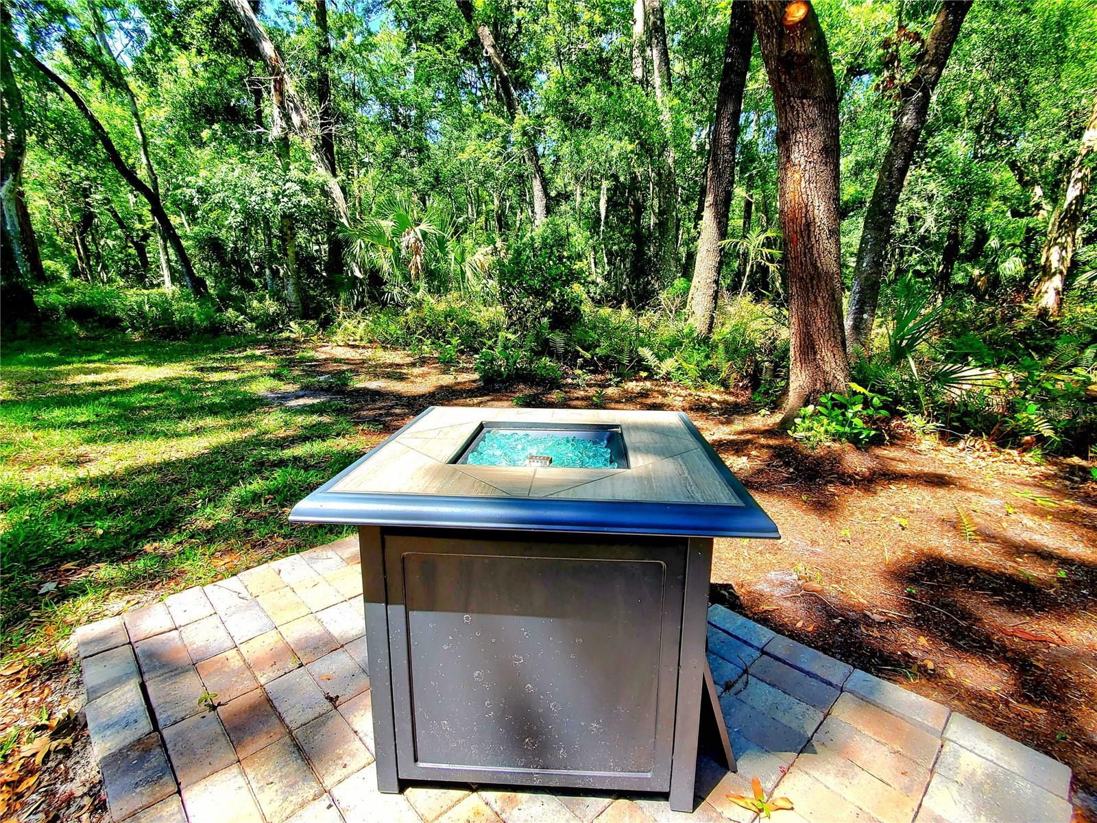 NEW FIRE PIT