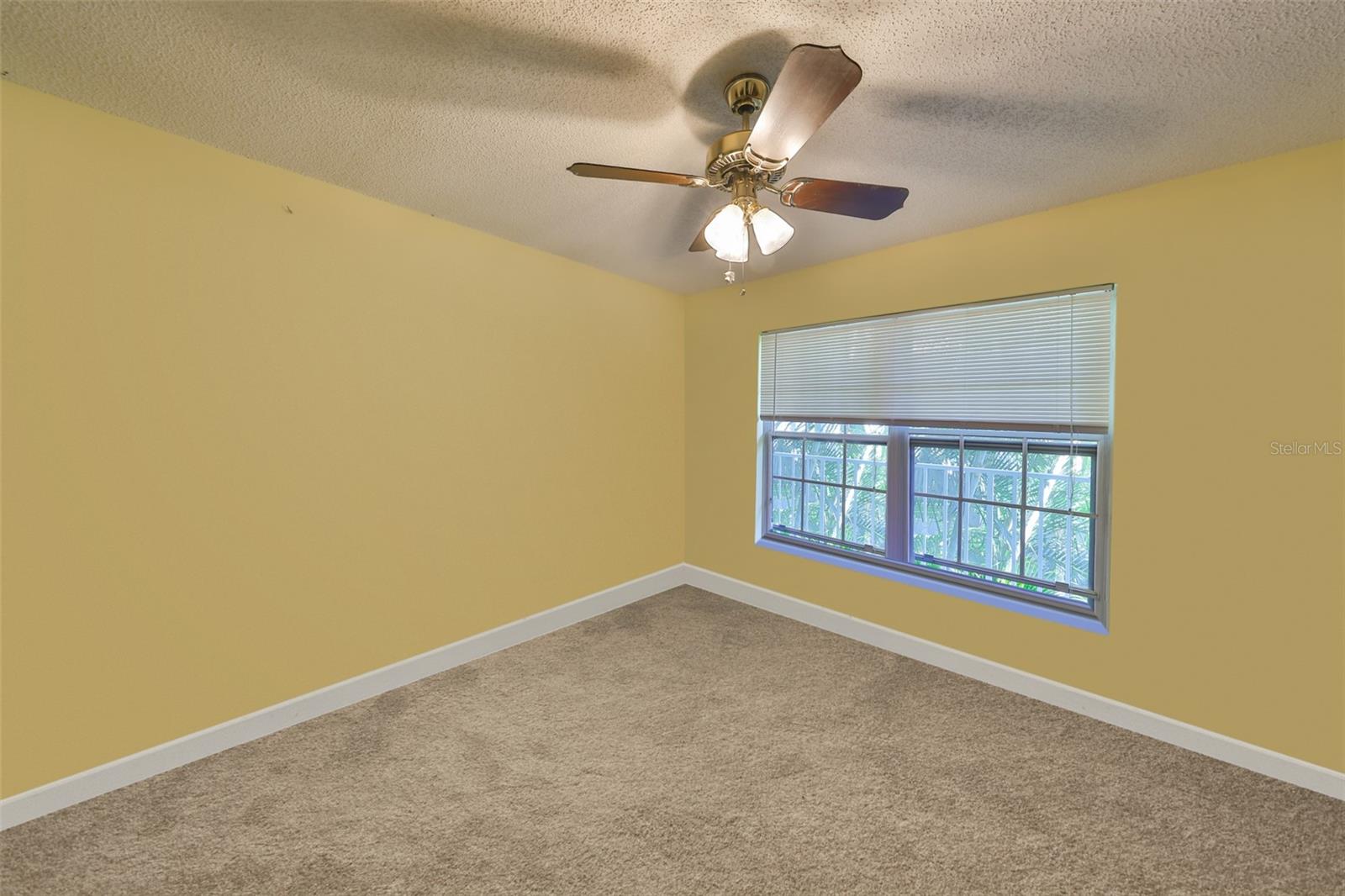 Boxes have been virtually removed from this photo.
