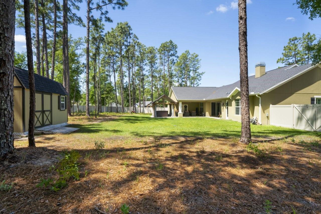 rear yard