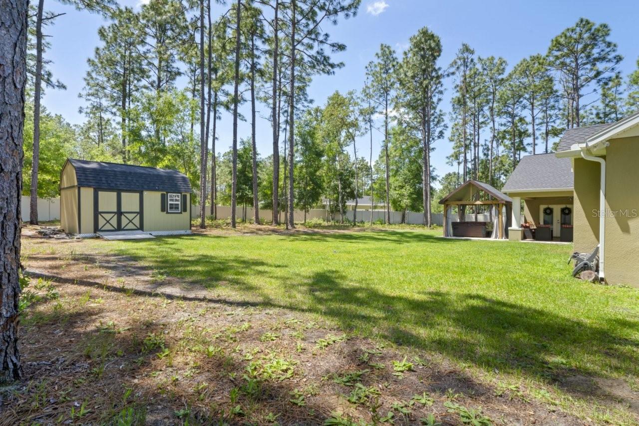 rear yard