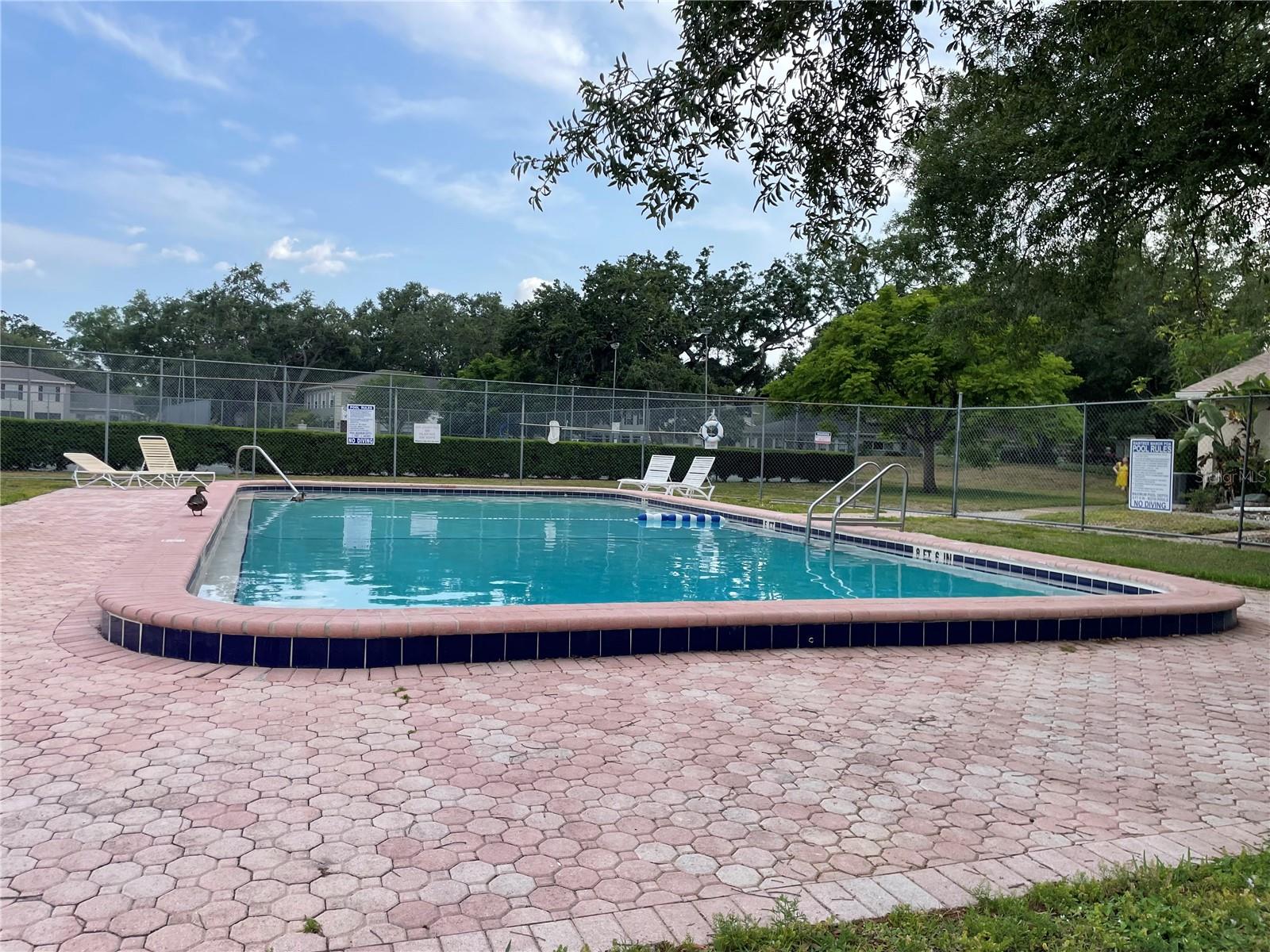 2nd Pool, South View