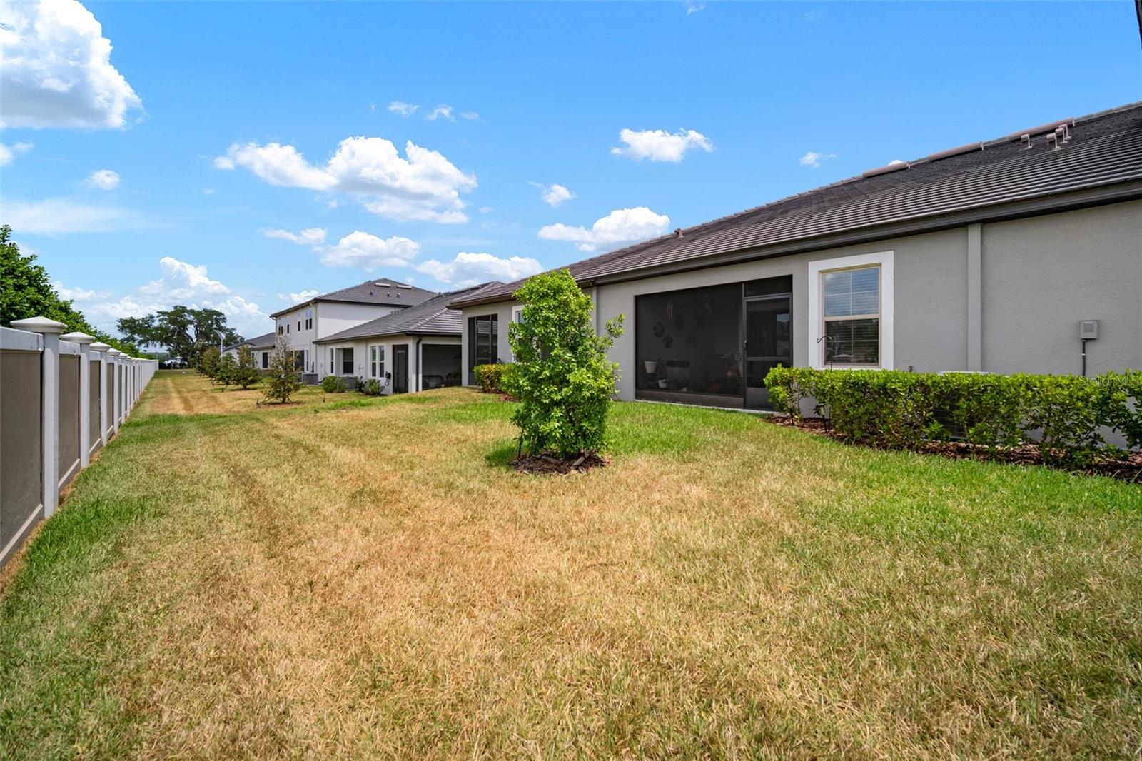Rear yard