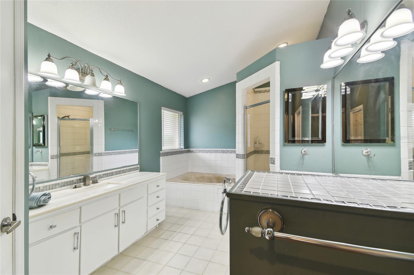 Master bedroom separate bath tub and shower
