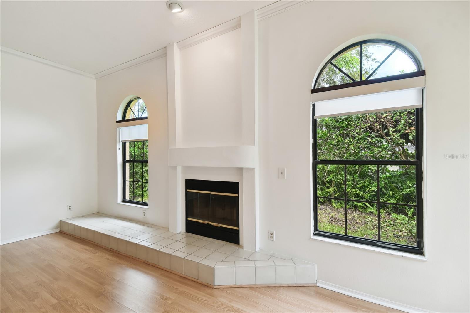 living room/fireplace
