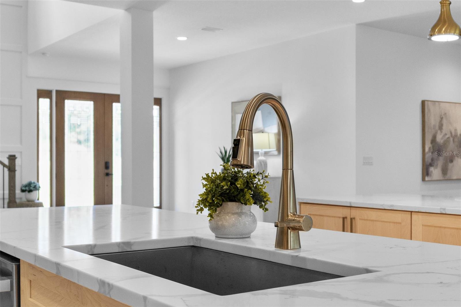 Large Stainless Steel Sink and Faucet Sprayer