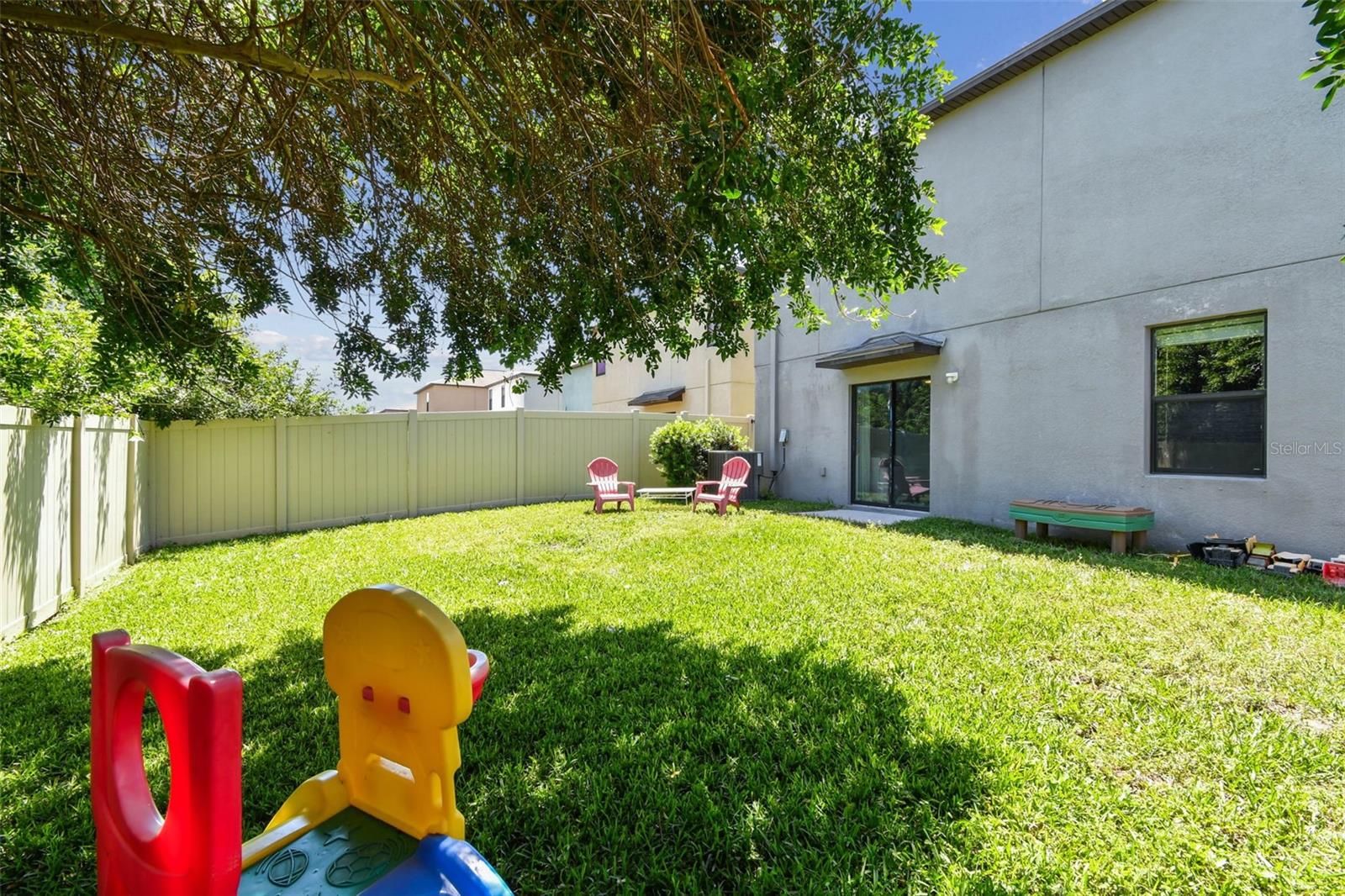Back yard