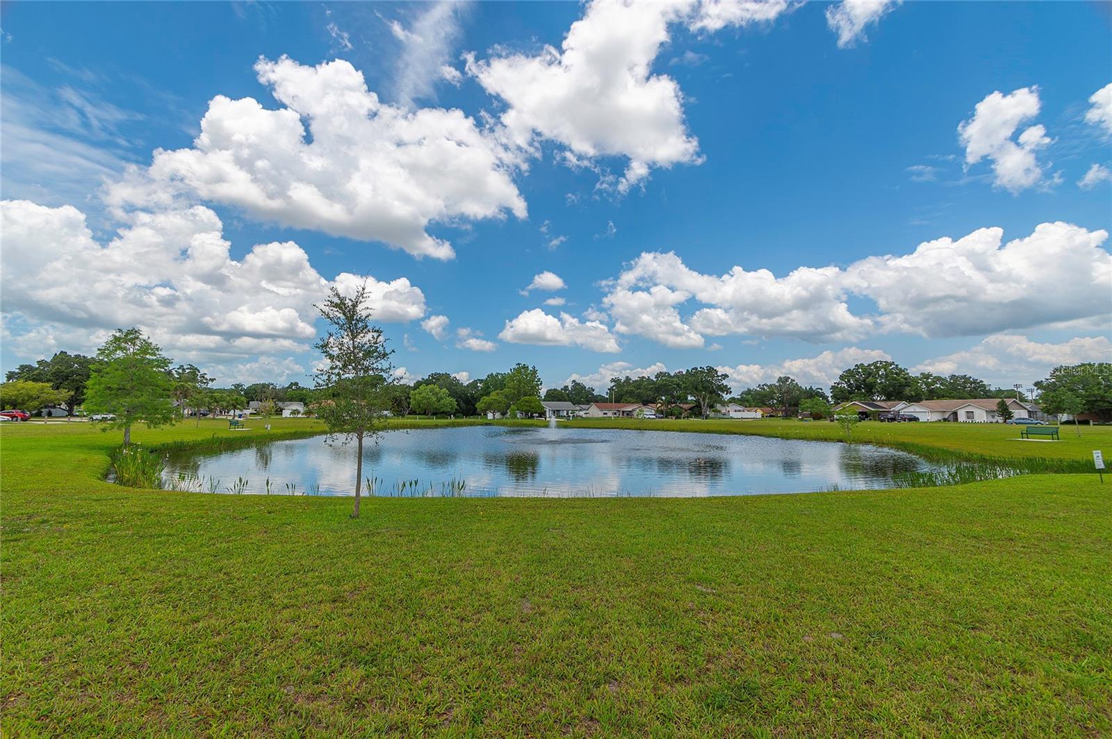 Park & pond