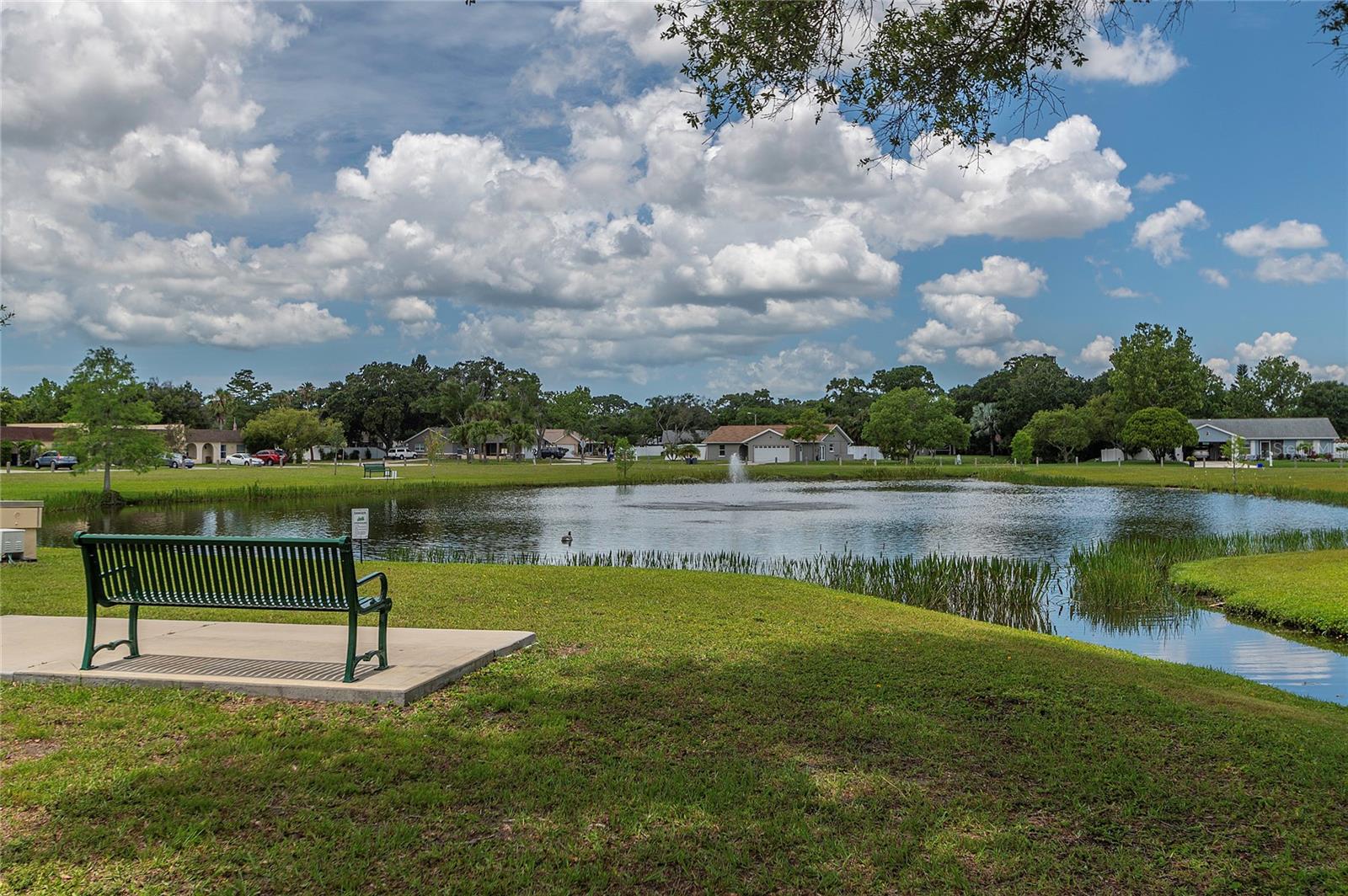Park & pond