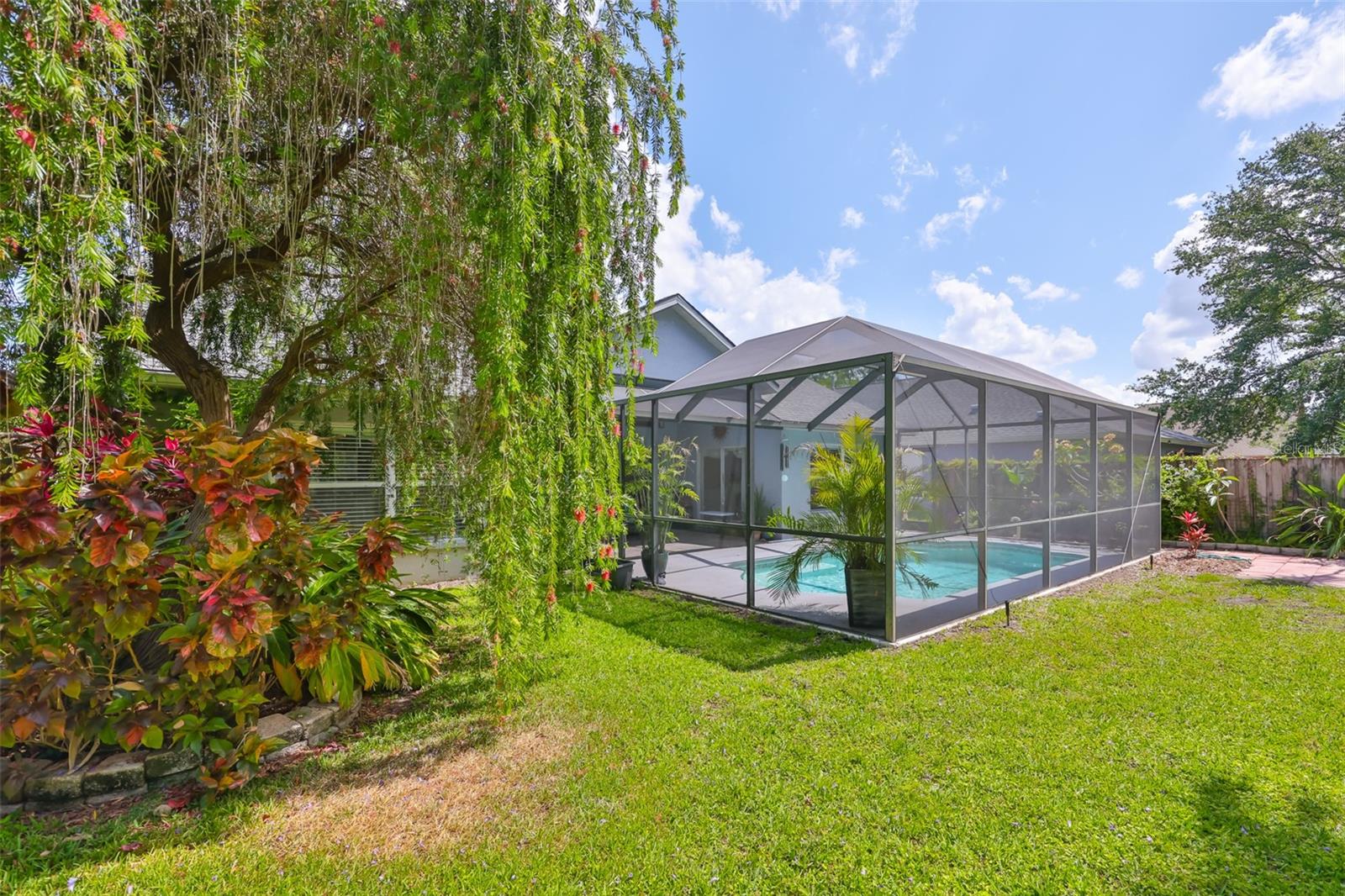 Gorgeous Landscaped backyard