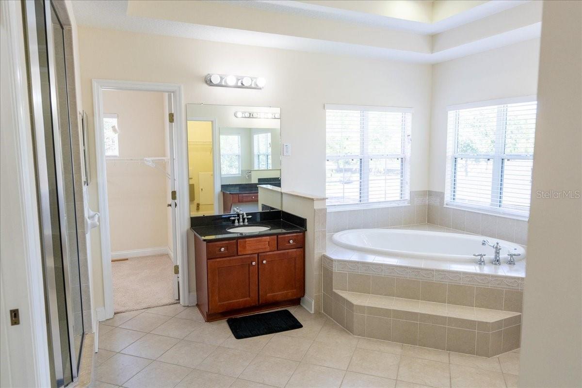 Master bathroom