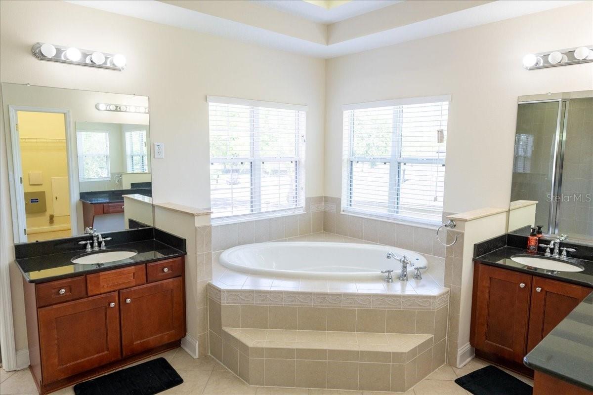 Master bathroom